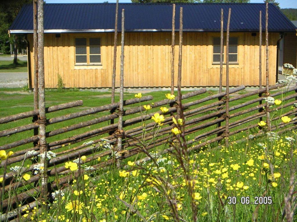 Saiva Camping & Stugby Vilhelmina Buitenkant foto